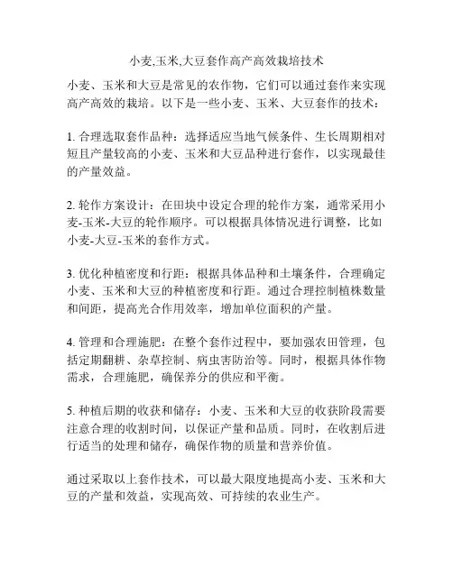 小麦,玉米,大豆套作高产高效栽培技术