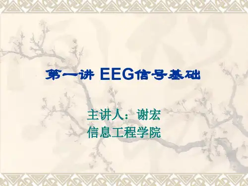 EEG信号基础解析