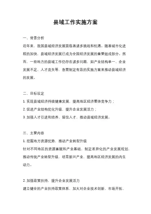 县域工作实施方案