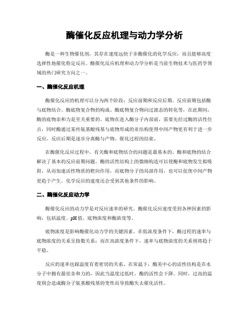 酶催化反应机理与动力学分析