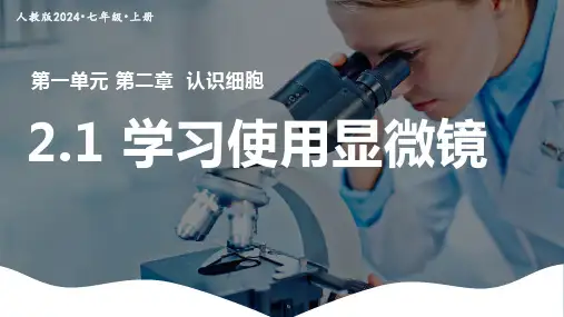 学习使用显微镜ppt课件