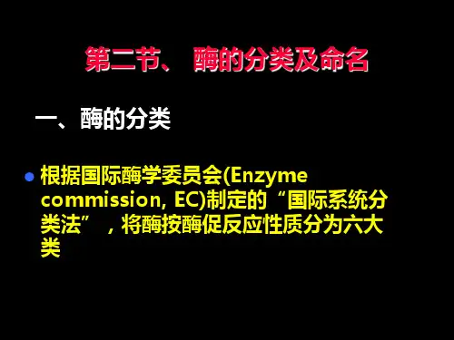 第二节 酶的分类与命名