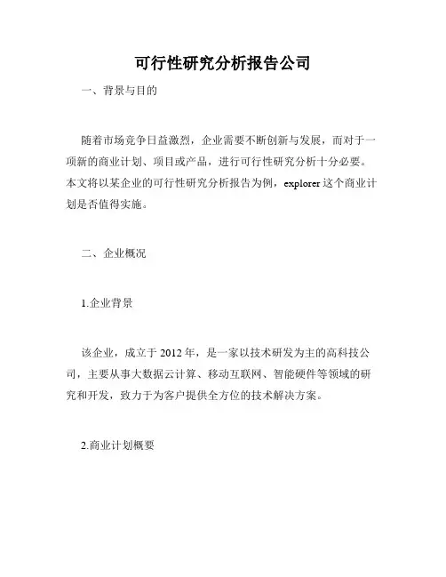 可行性研究分析报告公司