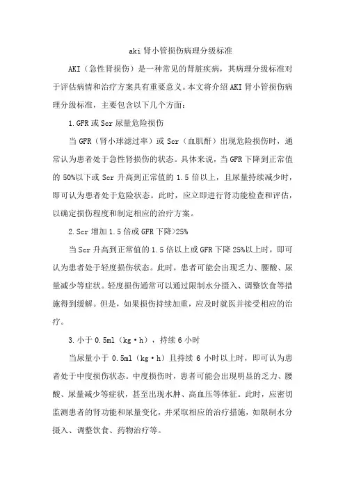 aki肾小管损伤病理分级标准