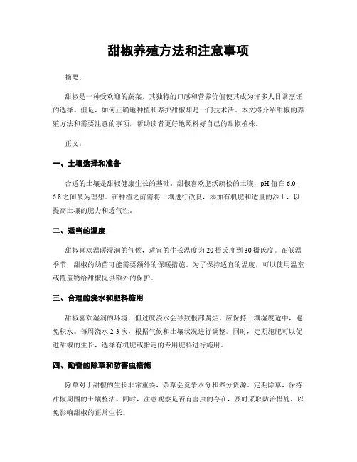 甜椒养殖方法和注意事项