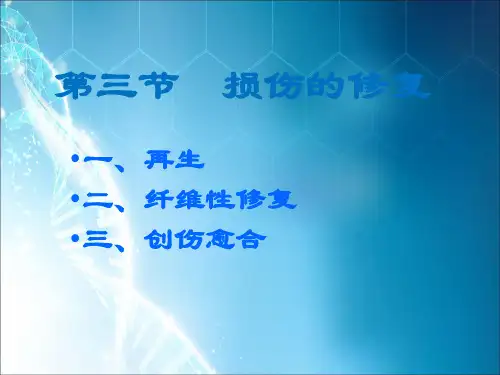 细胞和组织的损伤ppt课件