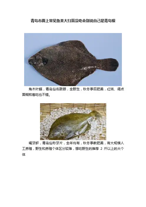 青岛市面上常见鱼类大扫盲没吃会别说自己是青岛银