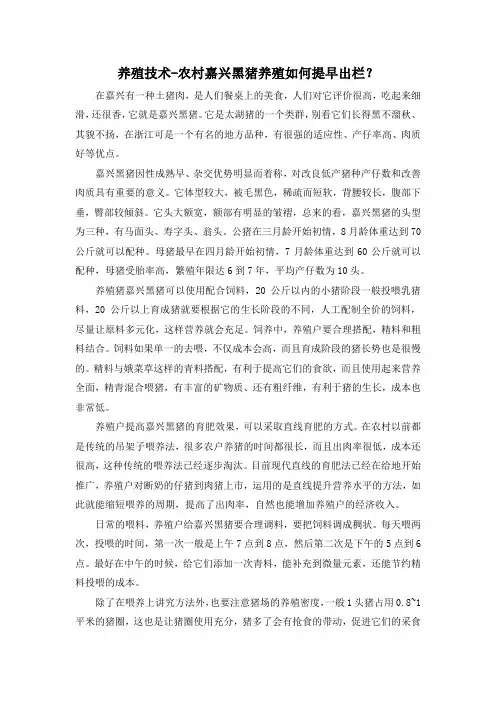养殖技术-农村嘉兴黑猪养殖如何提早出栏？