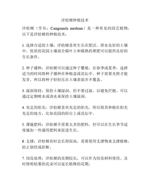 洋桔梗种植技术