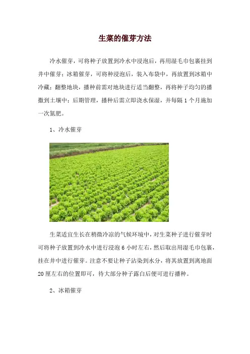 生菜的催芽方法