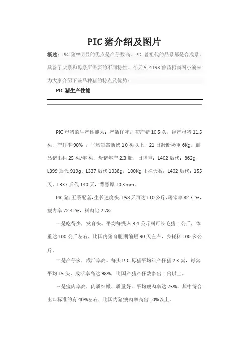 PIC猪介绍及图片