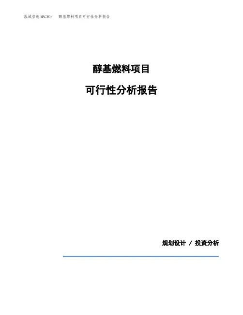 醇基燃料项目可行性分析报告(模板参考范文)