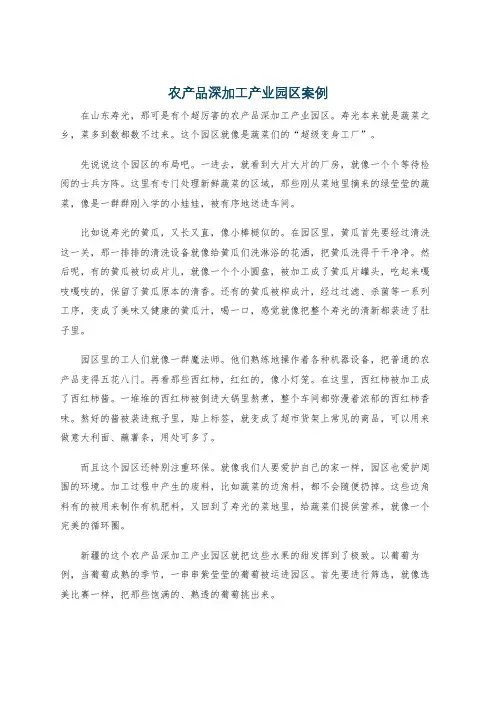 农产品深加工产业园区案例