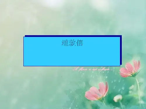 高中英语作文---道歉信 精品优选公开课件