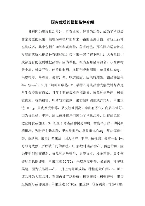 国内优质的枇杷品种介绍