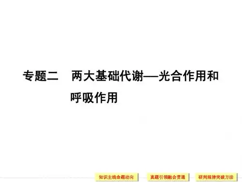 高考生物(江西专用)二轮专题复习配套课件第一篇专题四两大基础代谢—光合作用和呼吸作用