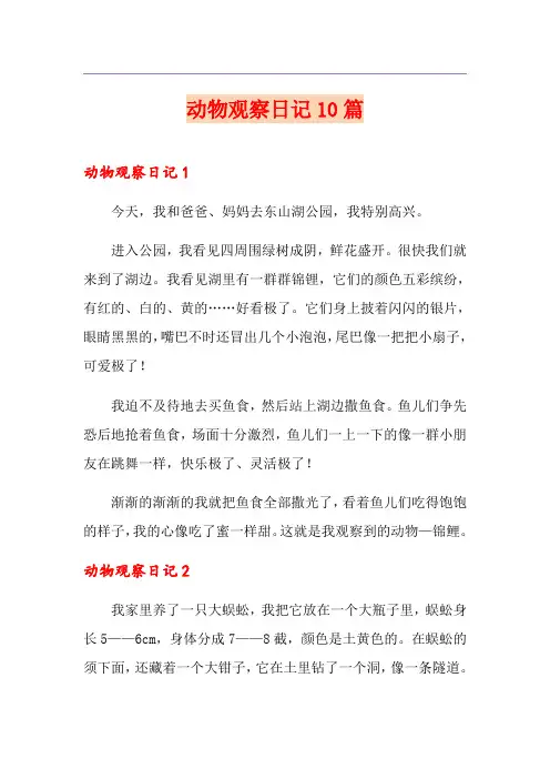 动物观察日记10篇
