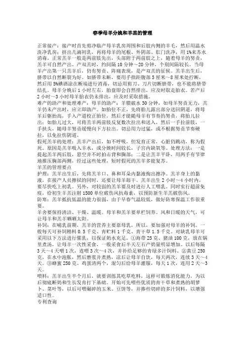 春季母羊分娩和羊羔的管理