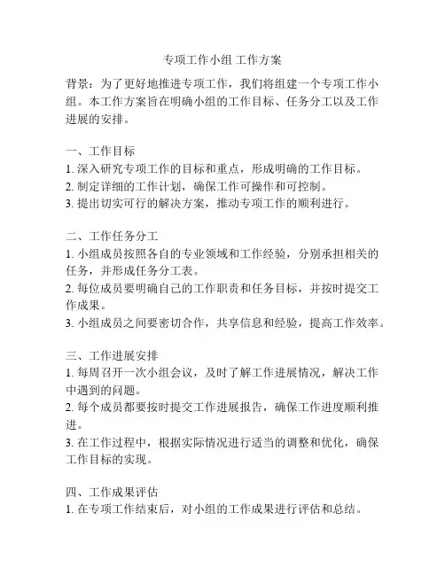 专项工作小组 工作方案