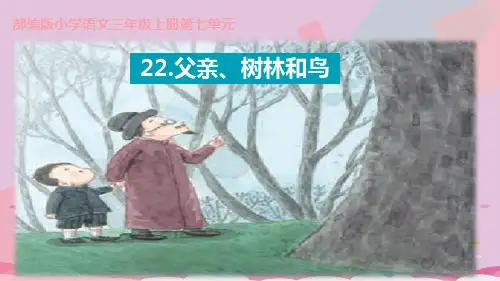 三年级上册语文课件-22父亲、树林和鸟1人教部编版(共14张PPT)