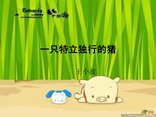 一只特立独行的猪课件