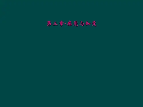 第三章感觉与知觉