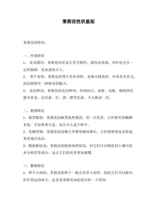 茉莉花性状鉴别
