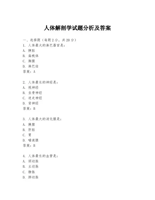 人体解剖学试题分析及答案