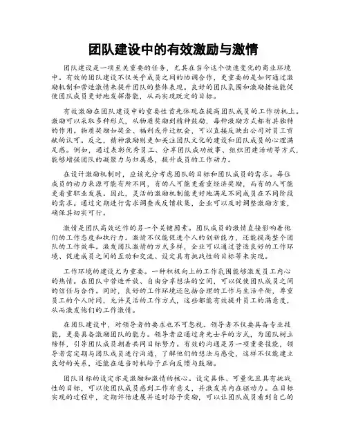 团队建设中的有效激励与激情