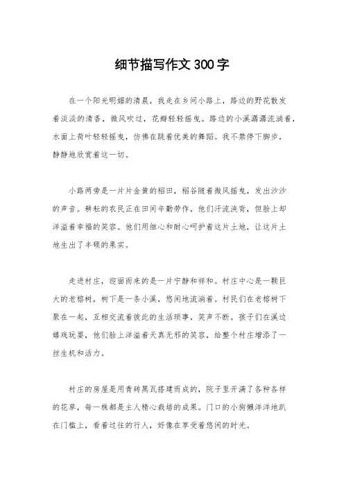 细节描写作文300字