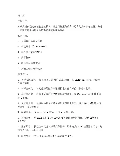 亚细胞定位实验报告(3篇)
