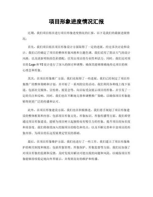 项目形象进度情况汇报