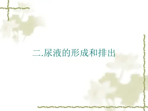 冀教版七年级生物下册第三章第二节尿液的形成和排出