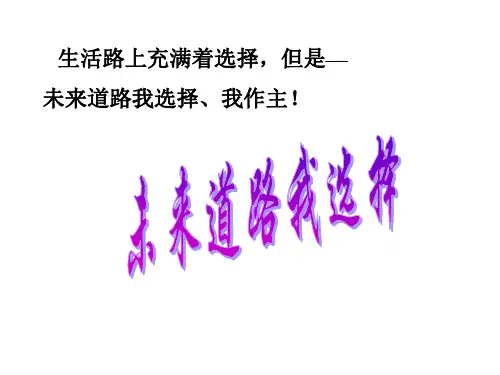 黄敏九年级政治第十课第三框未来道路我选择PPT课件