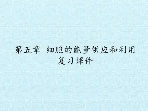 2020-2021学年人教版生物必修一()课件：必修一第五章