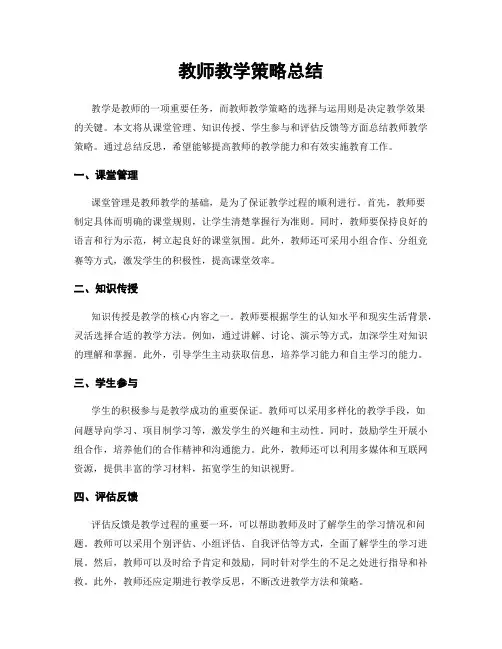 教师教学策略总结