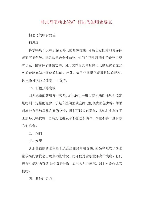 相思鸟喂啥比较好-相思鸟的喂食要点