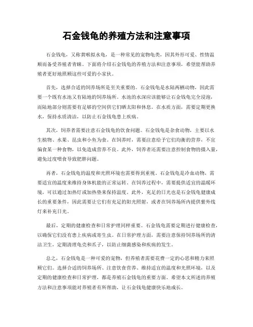 石金钱龟的养殖方法和注意事项