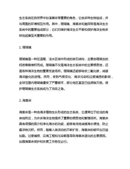 生态系统 珊瑚礁 海草床 潮间带