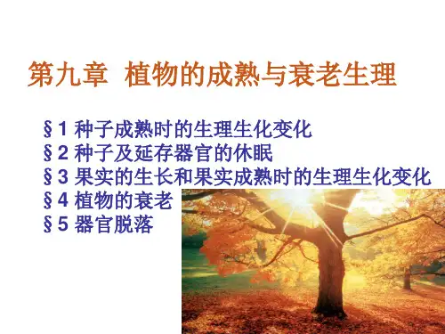 植物的成熟与衰老生理