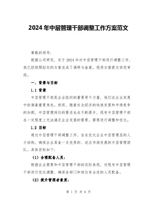 2024年中层管理干部调整工作方案范文