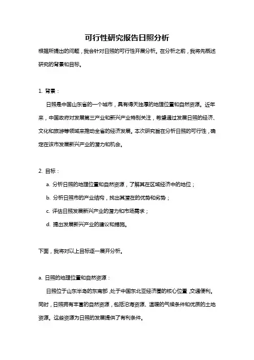 可行性研究报告日照分析