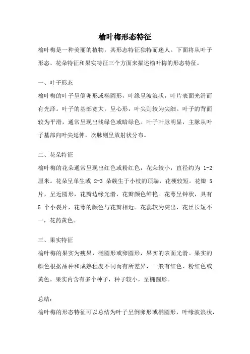 榆叶梅形态特征