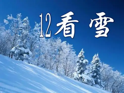 《看雪》PPT课件 (共78张PPT)
