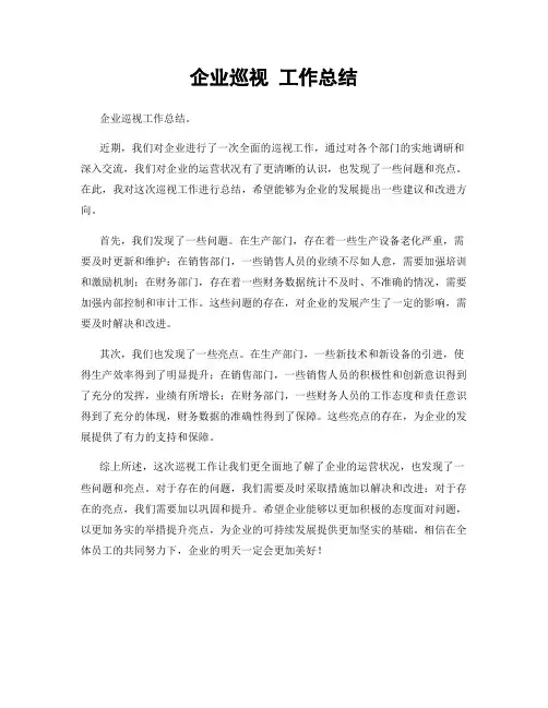 企业巡视 工作总结