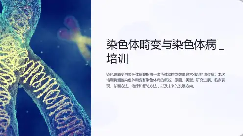 染色体畸变与染色体病_培训
