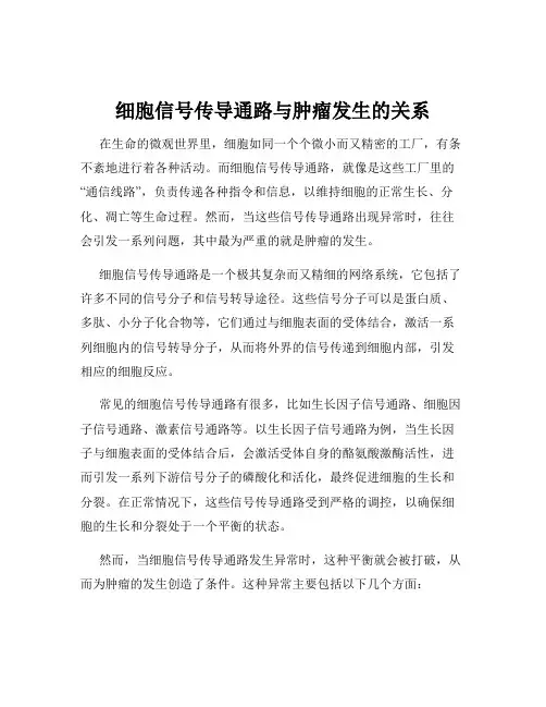 细胞信号传导通路与肿瘤发生的关系