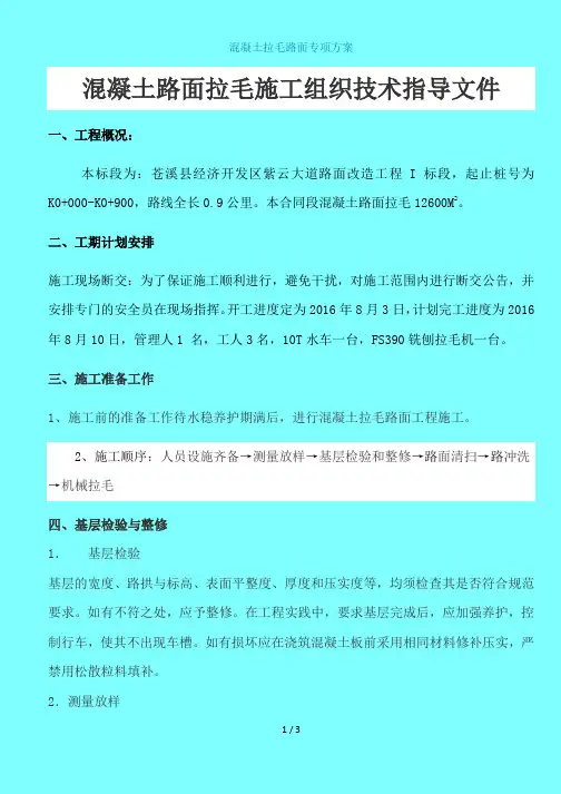 [yf]砼拉毛路面施工方案083