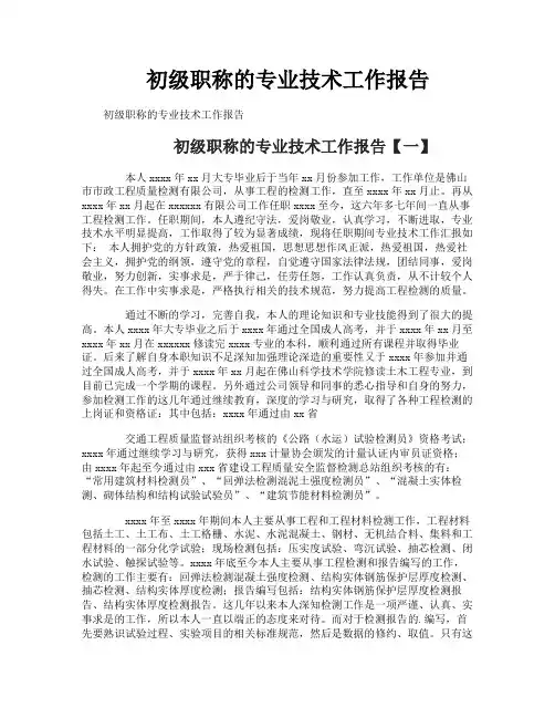 初级职称的专业技术工作报告