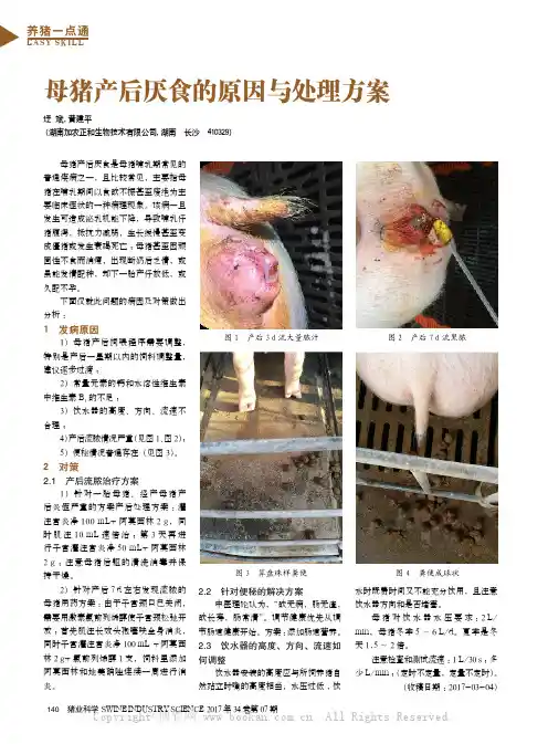母猪产后厌食的原因与处理方案